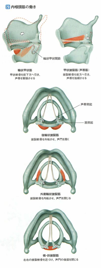 スクリーンショット 2017-01-21 4.29.31.jpg スクリーンショット 2017 01 21 4 29 31