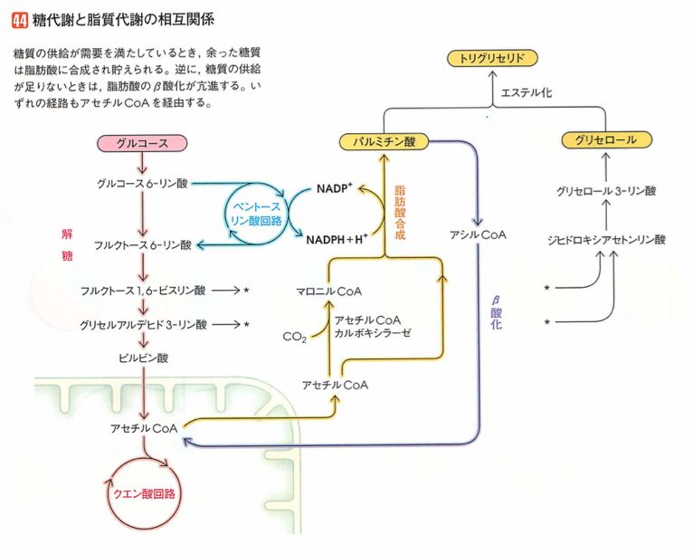 スクリーンショット 2017-01-21 4.34.18.jpg スクリーンショット 2017 01 21 4 34 18