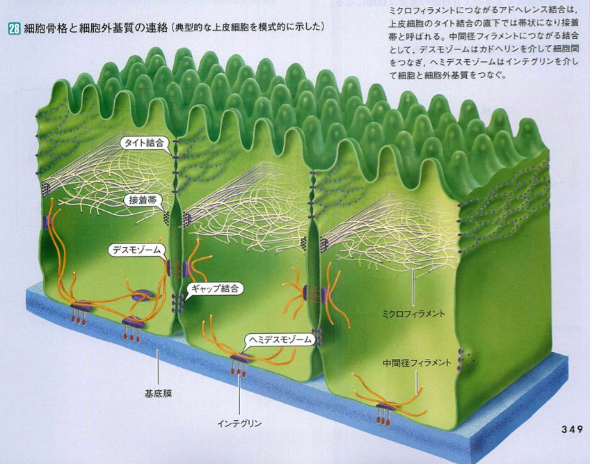 スクリーンショット 2017-01-21 4.39.13.jpg スクリーンショット 2017 01 21 4 39 13