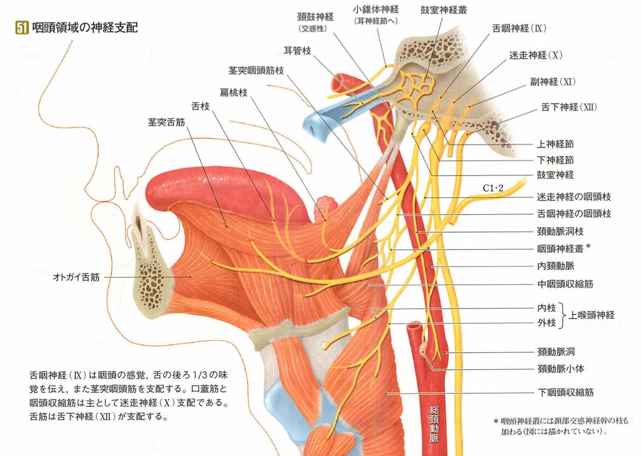 スクリーンショット 2017-01-23 0.21.25.jpg スクリーンショット 2017 01 23 0 21 25